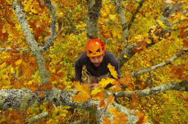 Manu Obry, Bivouac dans les arbres