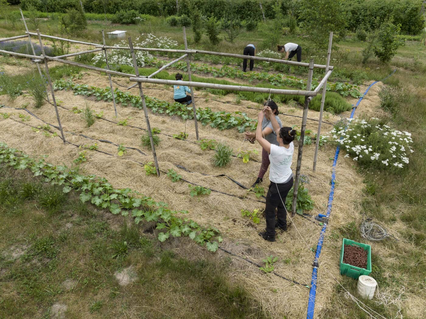 Ferme agroécologique. Ferme des Filles Captieux