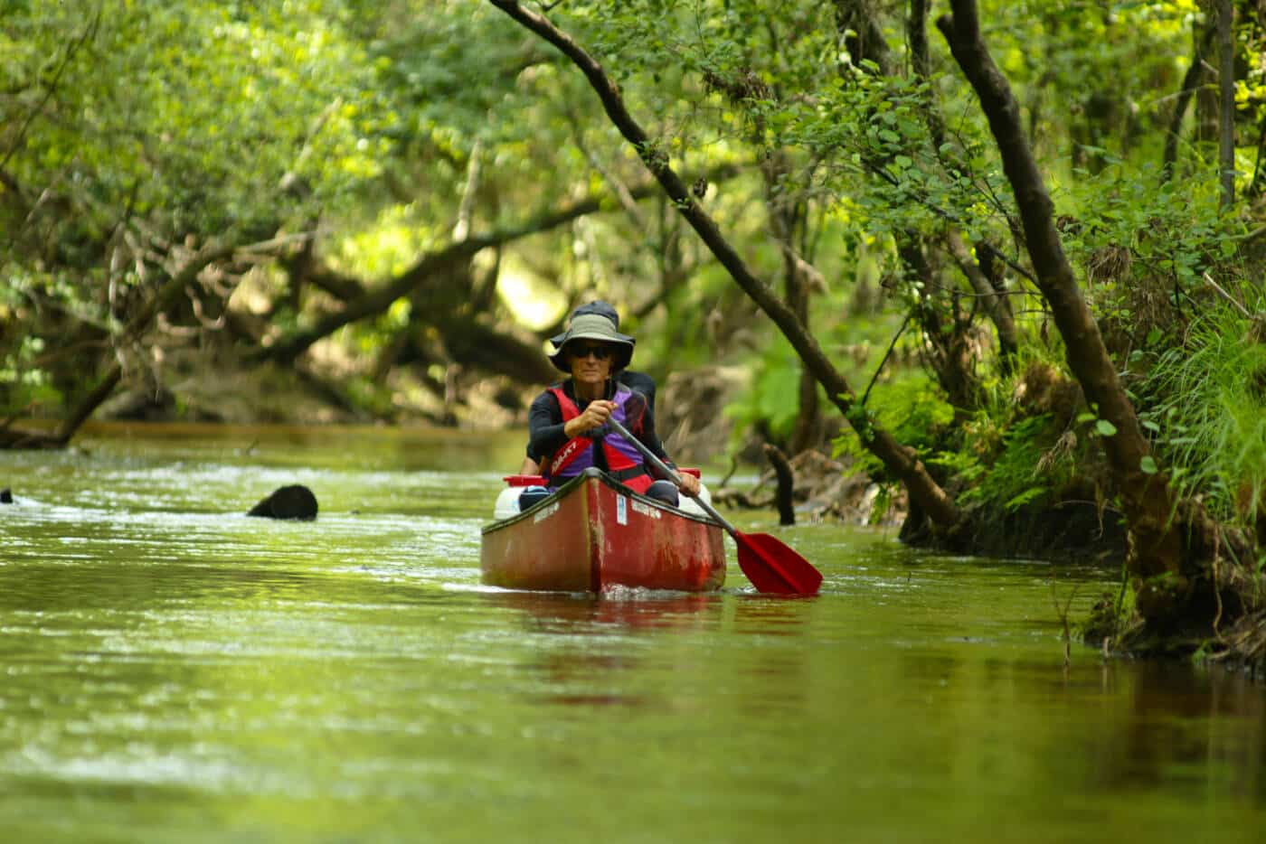 Photo d'une descente de canoë sur la rivière Leyre, au cœur de la forêt-galerie