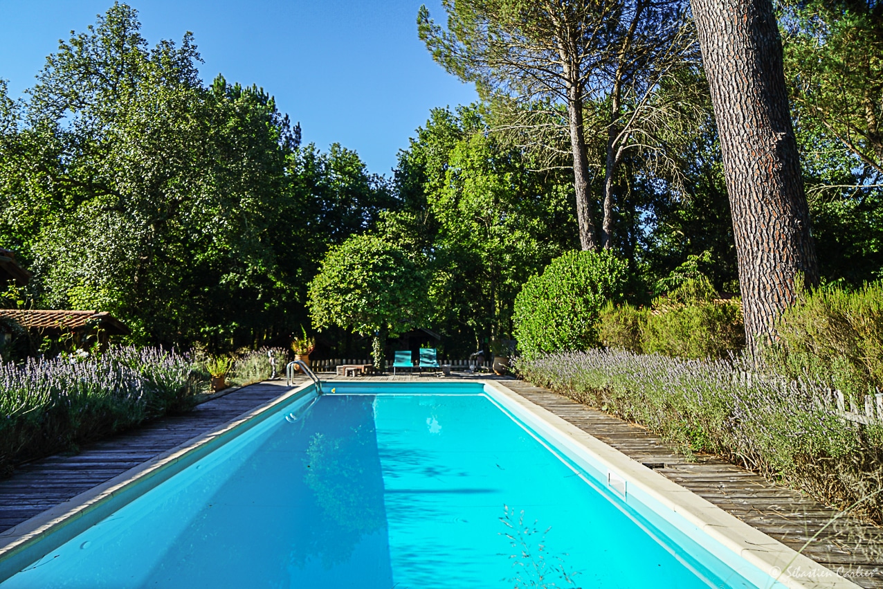 Piscine dans la pinède escale à Montauzey à Belhade