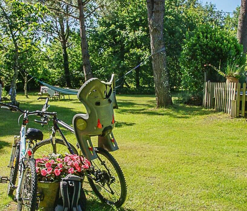 Les vélos prêts vous attendent