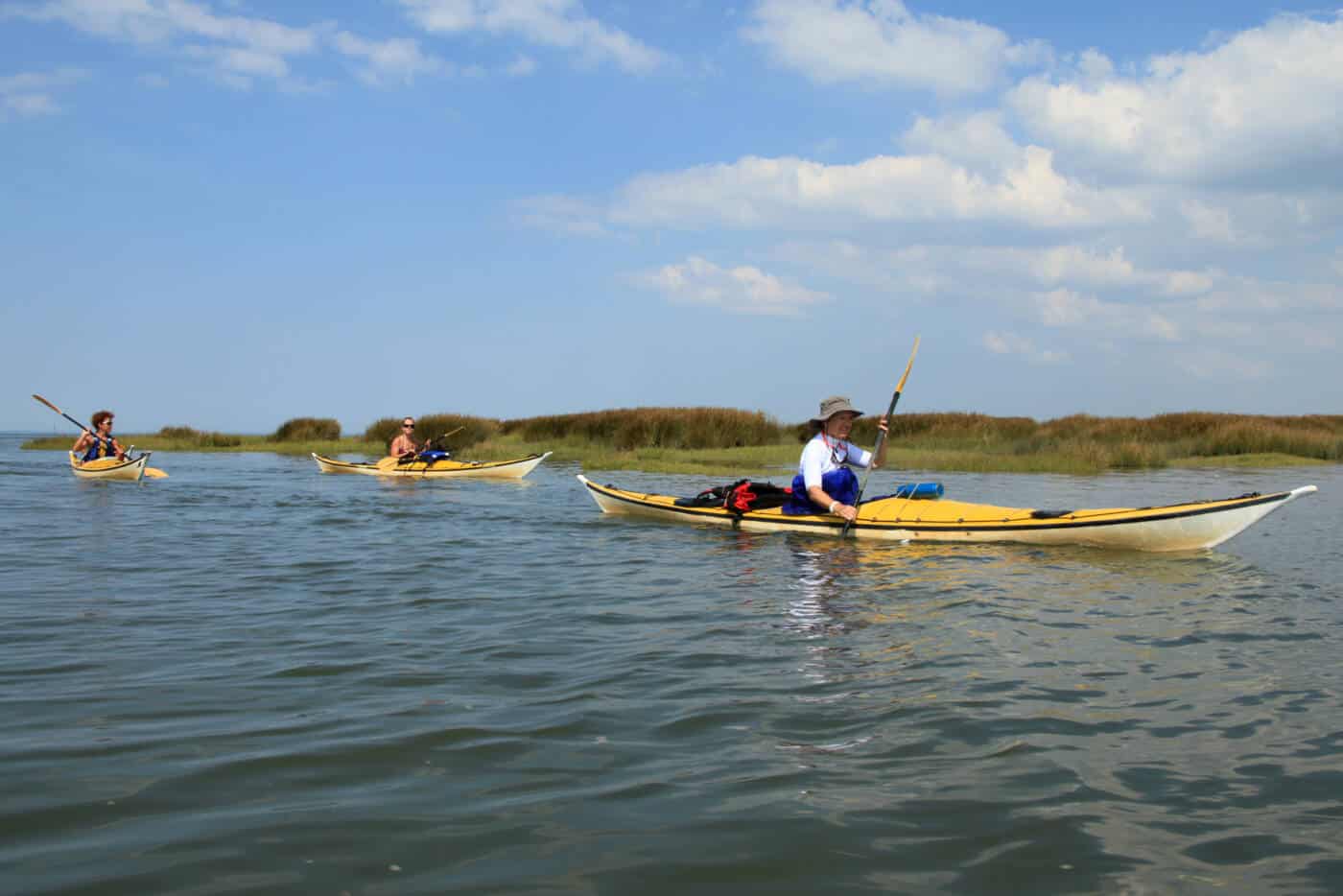 sortie en canoë-kayak dans le Delta de la Leyre