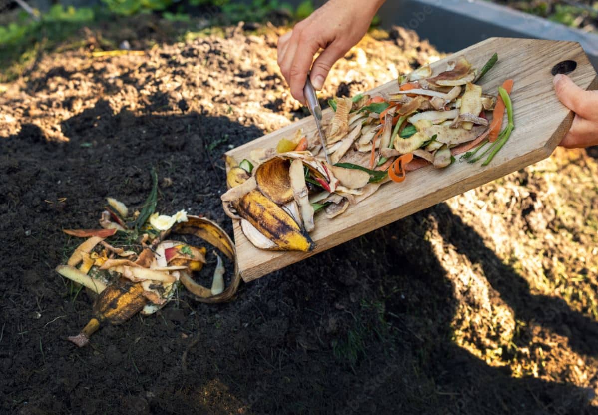 créer son compost c'est un écogeste