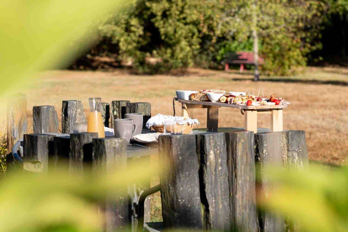 Table de pique-nique dans le jardin @escalesudgironde Table de pique-nique dans le jardin ombragé