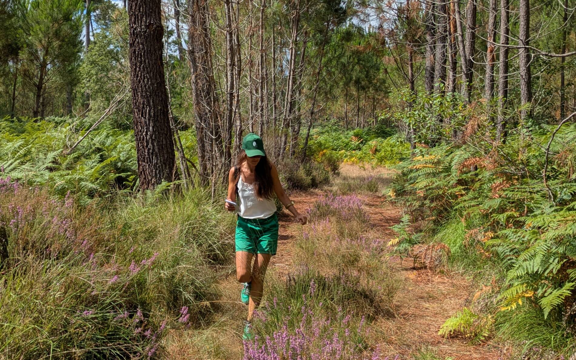 Baldade pédestre dans la foret des Landes de Gascogne